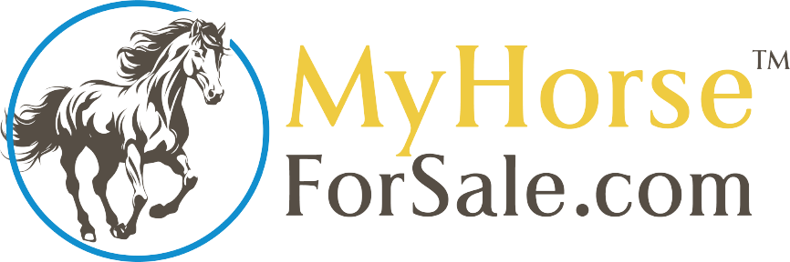 MyHorseForSale.com Equine Classifieds