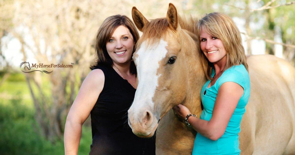 Helpful Guide To Buying Your First Horse