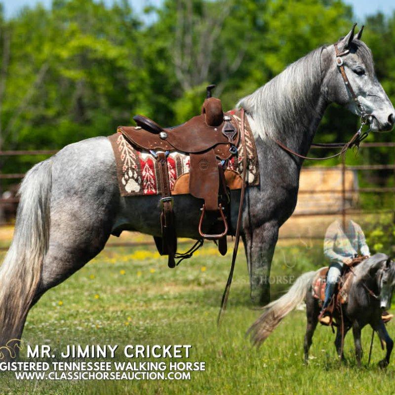 MR. JIMINY CRICKET