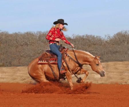 Quarter Horse Palomino Gelding 14.2 Hands (Billy)