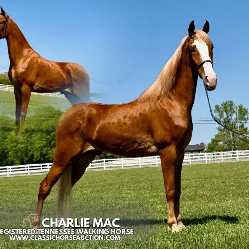 Charlie Mac