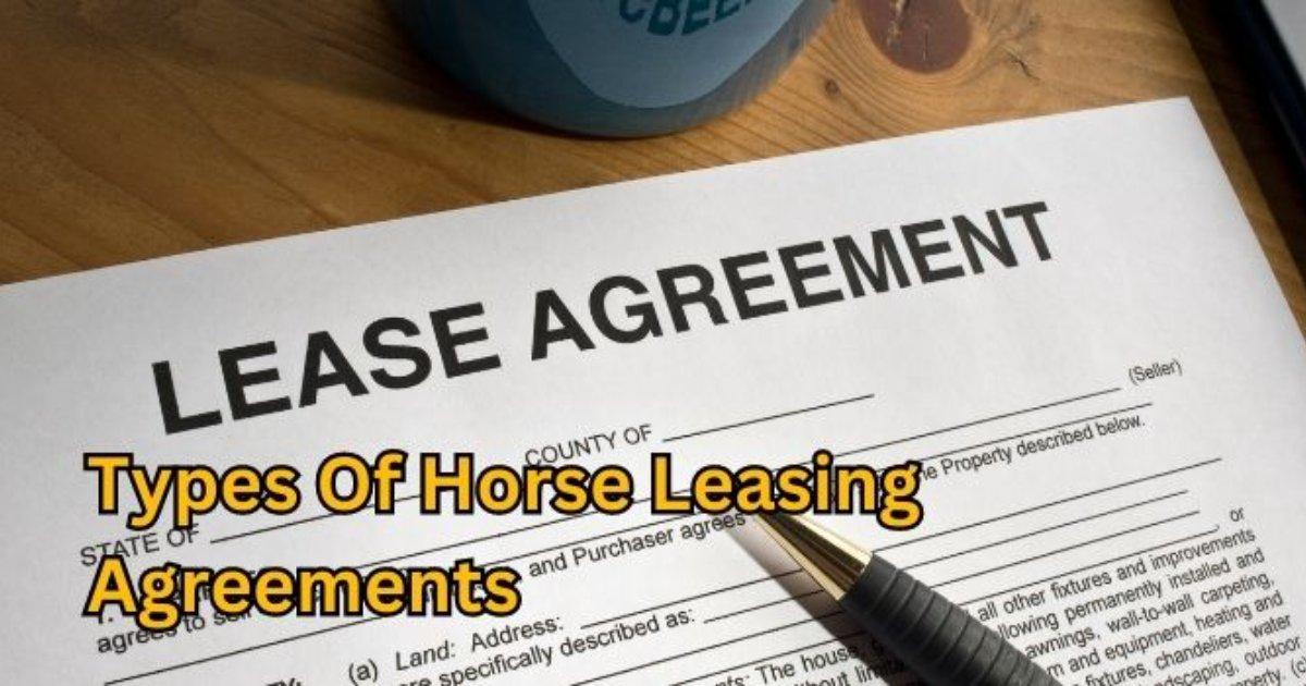 Demystifying Horse Leasing Agreements: Understanding the Different Types