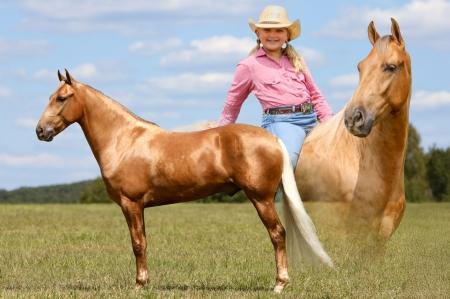 Palomino Kentucky Mountain Gelding For Sale | Thehorsebay.com | Gaited/Driving/Youth