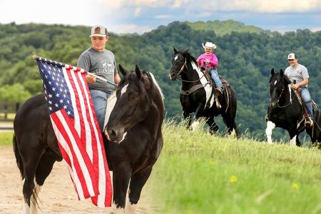 \"Tucker\" Spotted Draft Quarter Horse X (Team Driving/Trail/Ranch/Lesson) For Sale on Thehorsebay.com